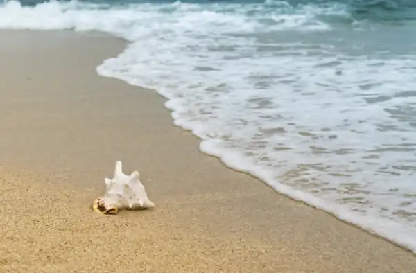 puisi tentang alam pantai